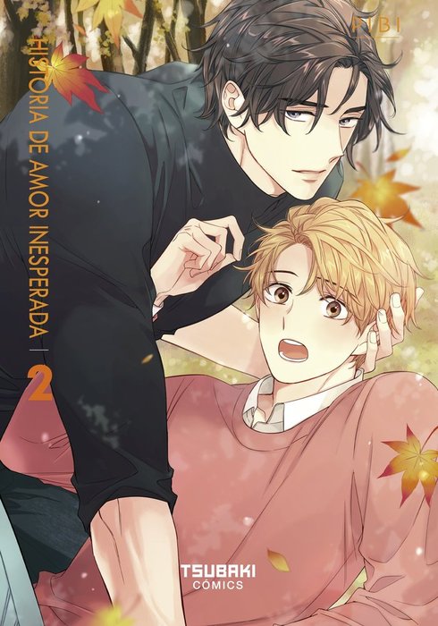 UNA HISTORIA DE AMOR INESPERADA (BIUIDOJEOG YEONAEDAM)