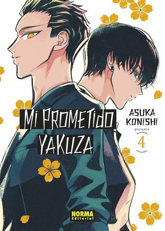 MI PROMETIDO YAKUZA (RAISE WA TANIN GA II)