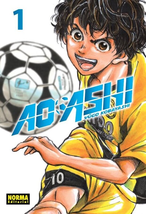 AO ASHI