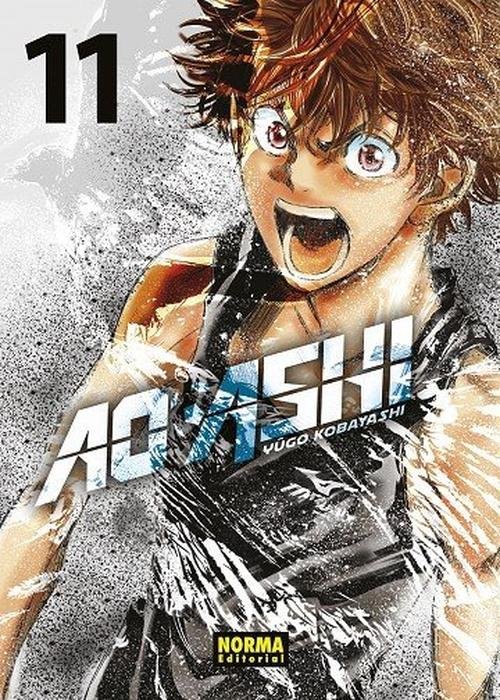 AO ASHI