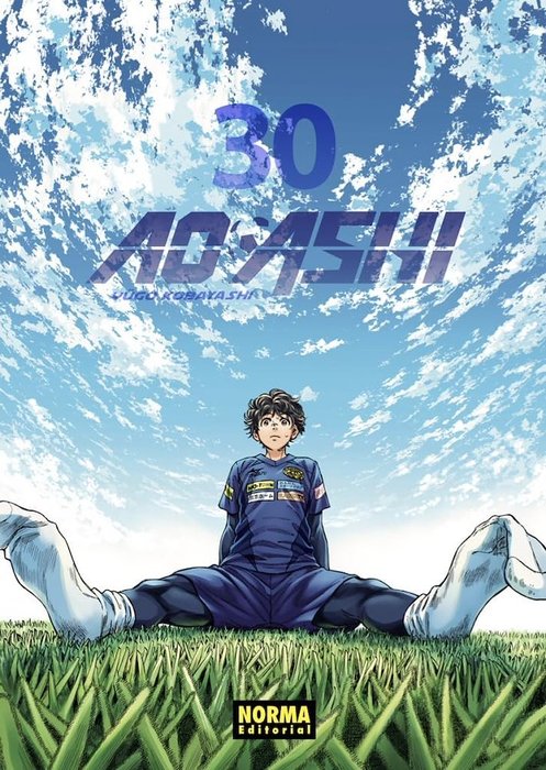 AO ASHI