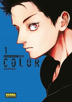 COLOR RECIPE