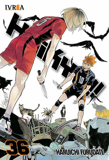 HAIKYUU!! - ARGENTINA