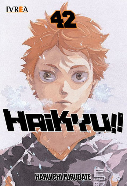 HAIKYUU!! - ARGENTINA