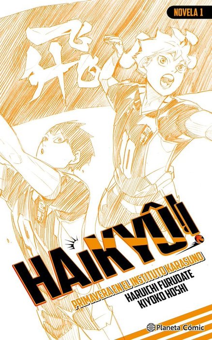 HAIKYU NOVELAS (HAIKYU!! SHOUSETSUBAN!!)