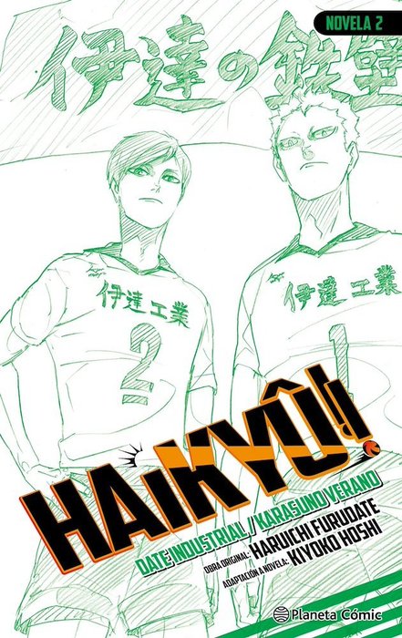 HAIKYU NOVELAS (HAIKYU!! SHOUSETSUBAN!!)