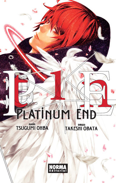 PLATINUM END