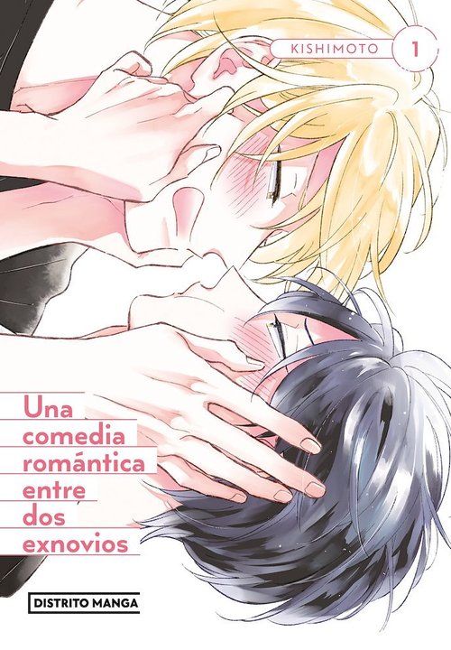UNA COMEDIA ROMANTICA ENTRE DOS EXNOVIOS (AIHARA-KUN TO KASHIMA-KUN WA RABU-KOME KAMOSHIRENAI)